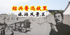 干骚比视频中国绍兴-鲁迅故里旅游风景区